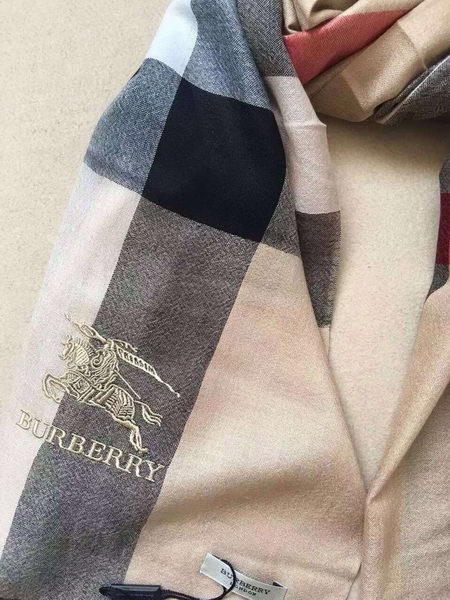 BurBerry Scarf BU17071704