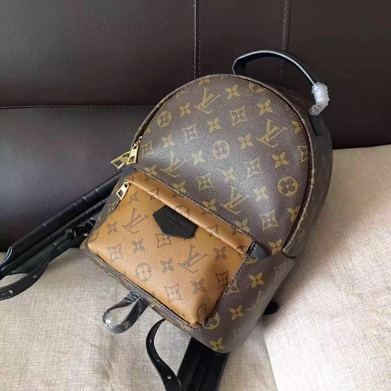 Louis Vuitton Monogram Canvas Palm Springs Backpack Mini M41562