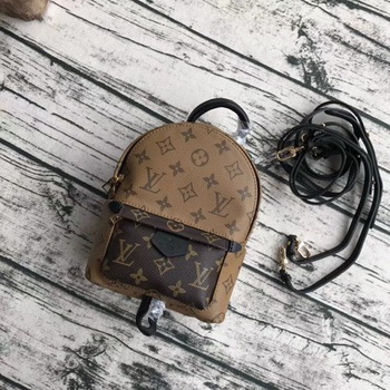 Louis Vuitton Monogram Canvas PALM SPRINGS BACKPACK MINI M42411