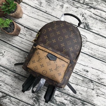 Louis Vuitton Monogram Canvas PALM SPRINGS BACKPACK MM M43116