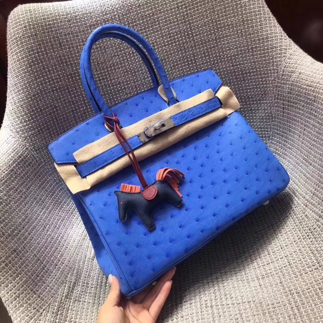 Hermes Real ostrich leather birkin bag BK35 blue