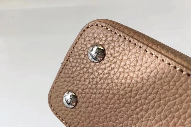 Louis Vuitton CAPUCINES MINI N94047