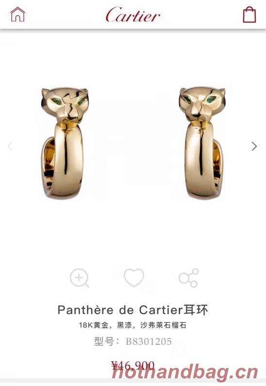 Cartier Earrings CE4097