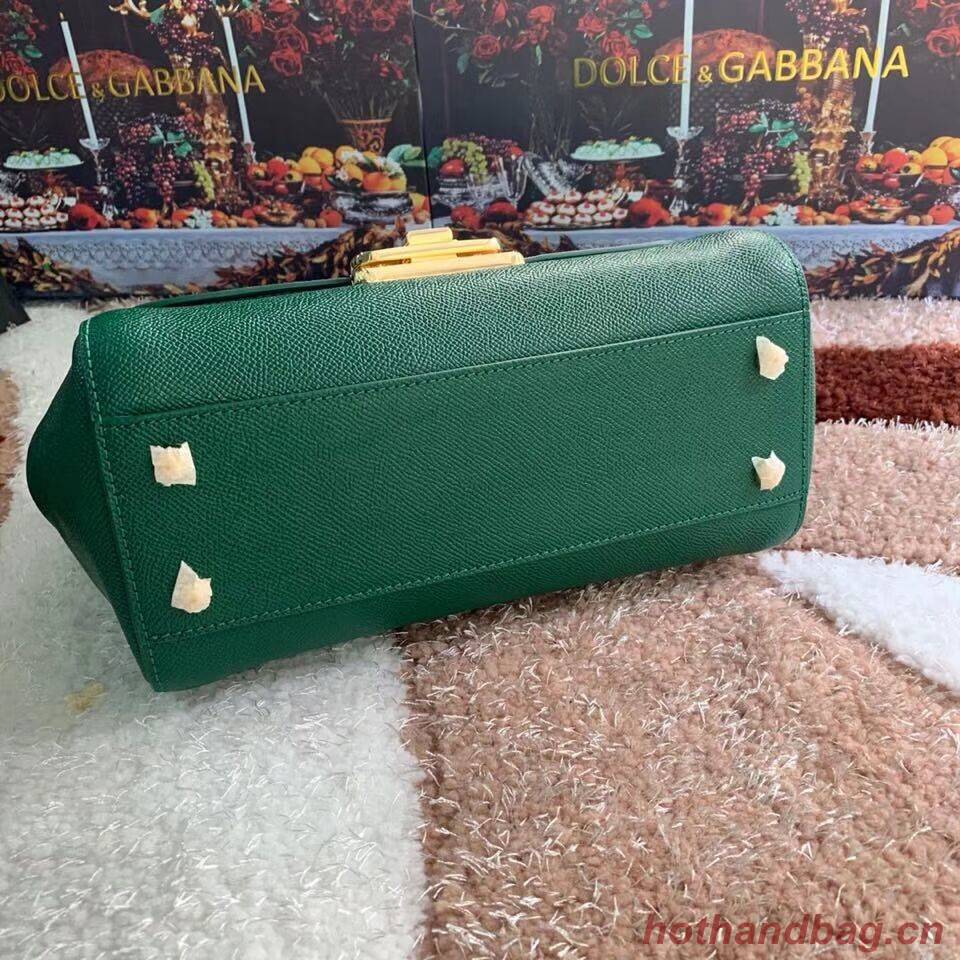 Dolce & Gabbana Origianl Leather Bag 4131 green