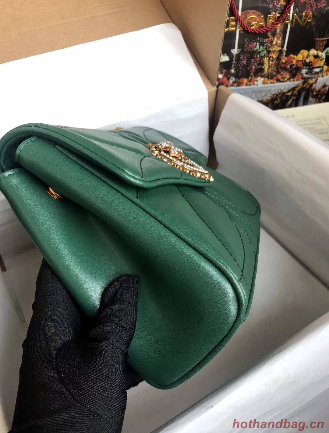 Dolce & Gabbana Origianl Leather Bag 4919 green