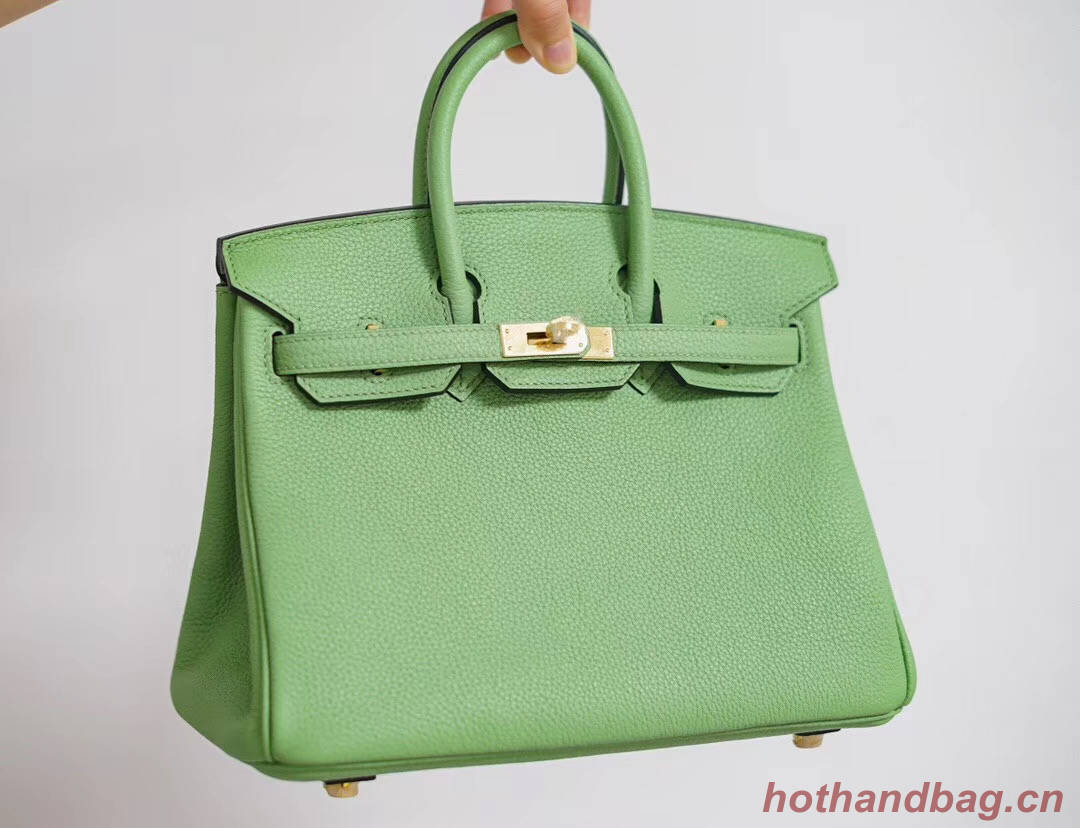 Hermes Birkin 25CM Togo Leather H5601 green