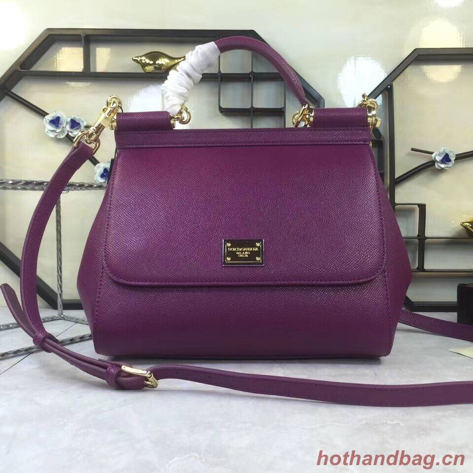 Dolce & Gabbana Origianl Leather 4136 violet