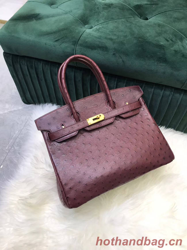 Hermes Birkin Bag Original Leather Ostrich skin HBK2530 Burgundy