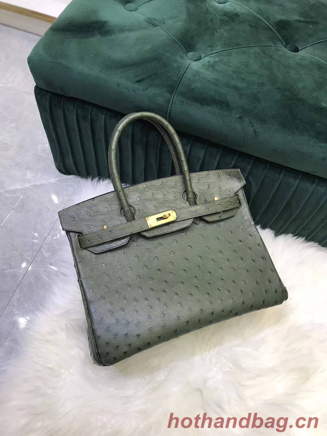 Hermes Birkin Bag Original Leather Ostrich skin HBK2530 blackish green