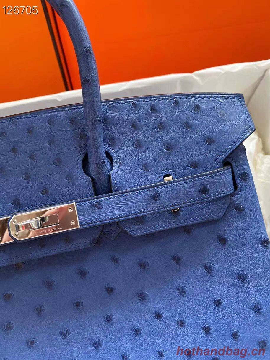 Hermes Birkin Bag Original Leather Ostrich Skin HBK2530 Dark Blue