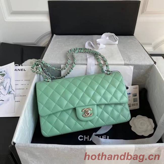 chanel classic handbag Lambskin & silver Metal A01112 light green