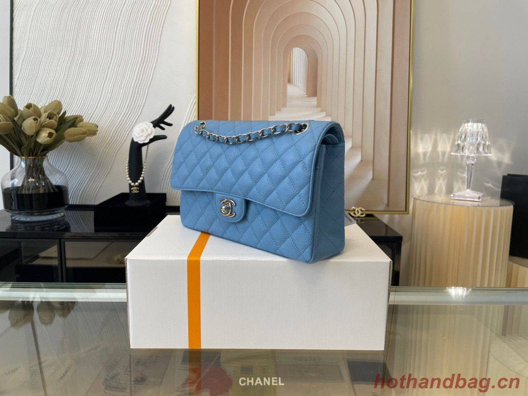 Chanel 2.55 Original Leather Flap Bag 1112 Light Blue with Silver Hardware