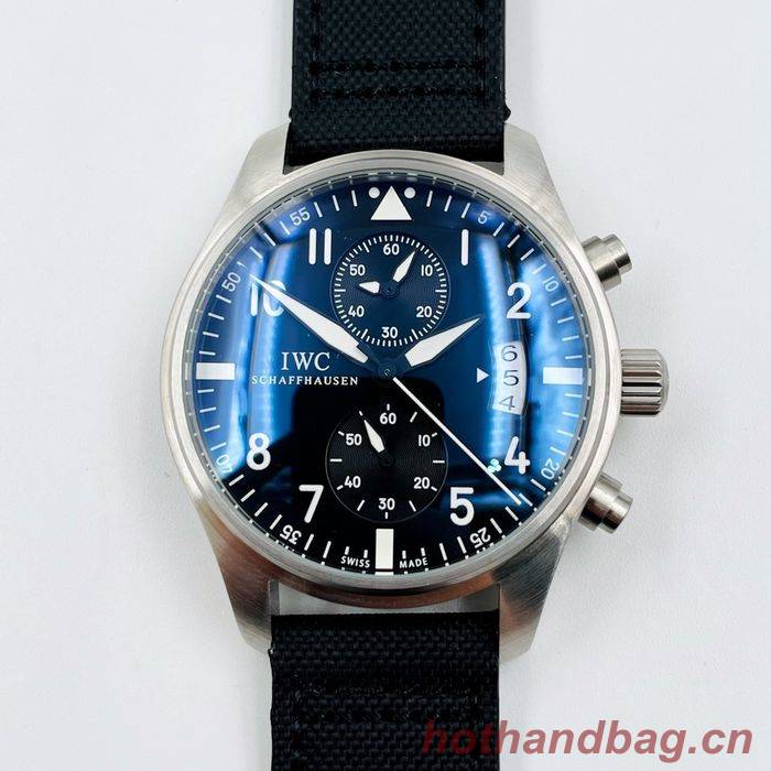 IWC Watch IWW00007-1