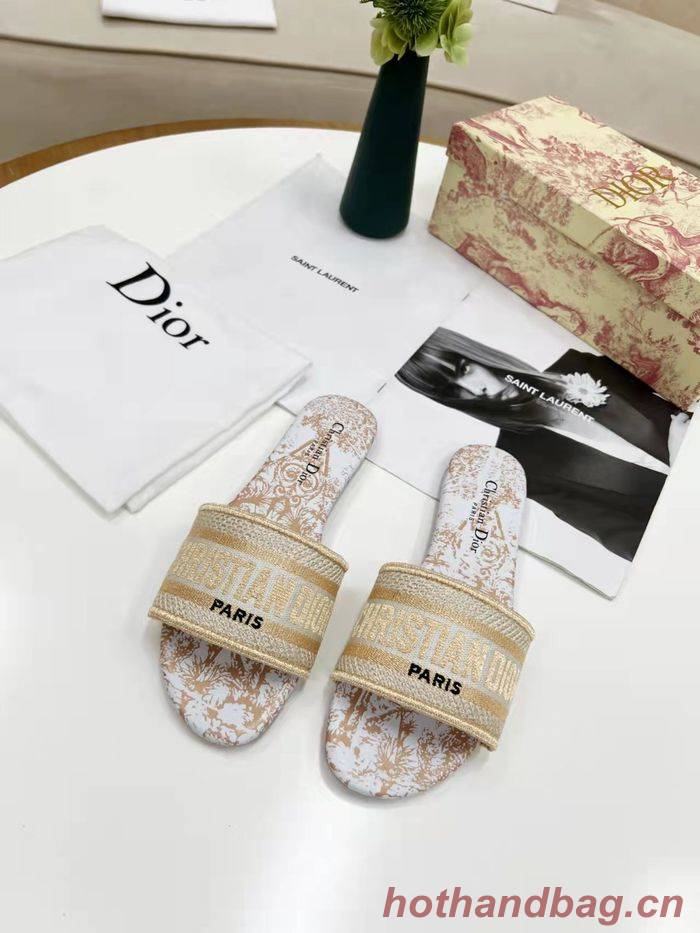 Dior Shoes DIS00183