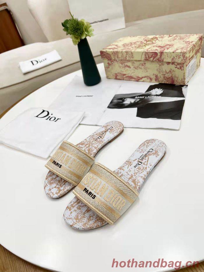 Dior Shoes DIS00183