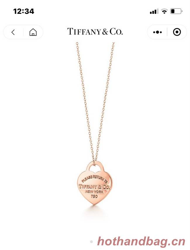 TIFFANY Necklace CE9065