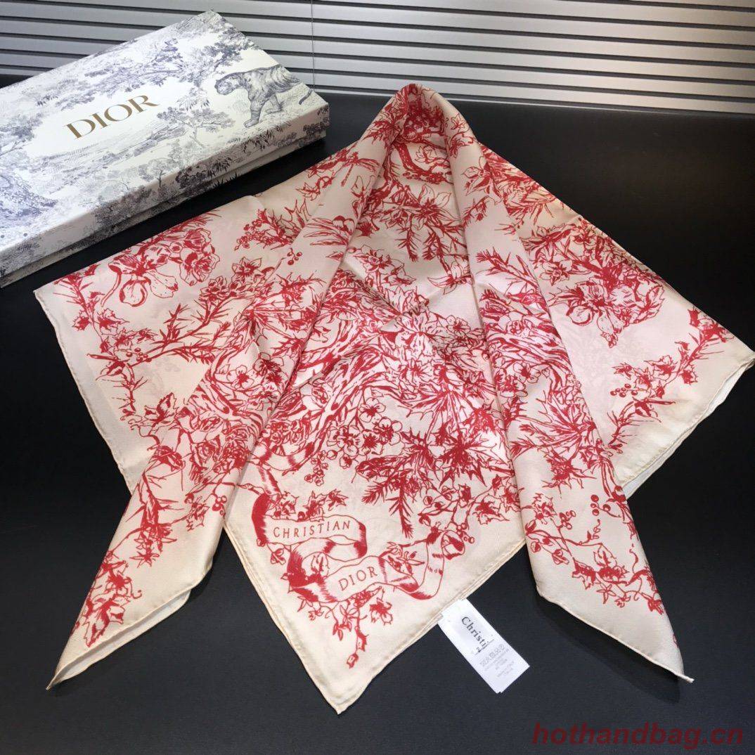 Dior Scarf DIC00072