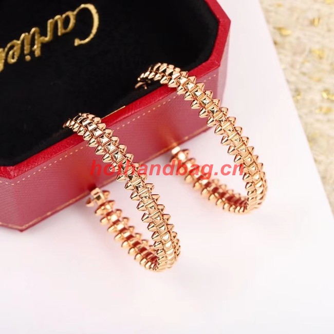 Cartier Earrings CE9713