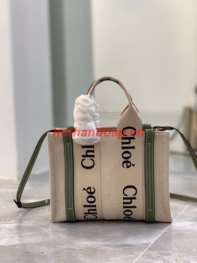 Chloe Cloth & leather 7576 green