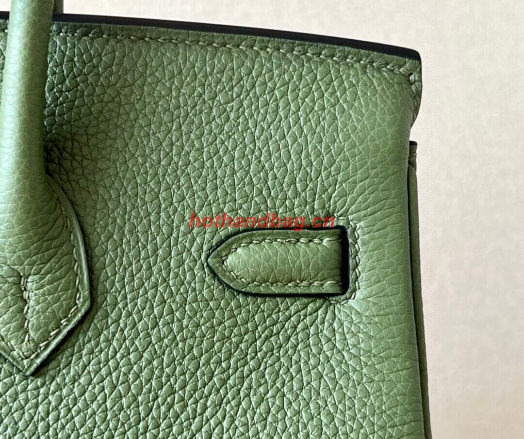 Hermes Birkin 25CM Bag Original Togo Leather 17888 Green