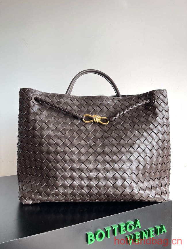 Bottega Veneta Large Andiamo 766019 Fondant