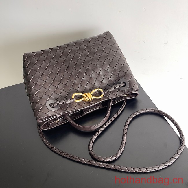 Bottega Veneta Small Andiamo 743568 Dark Brown