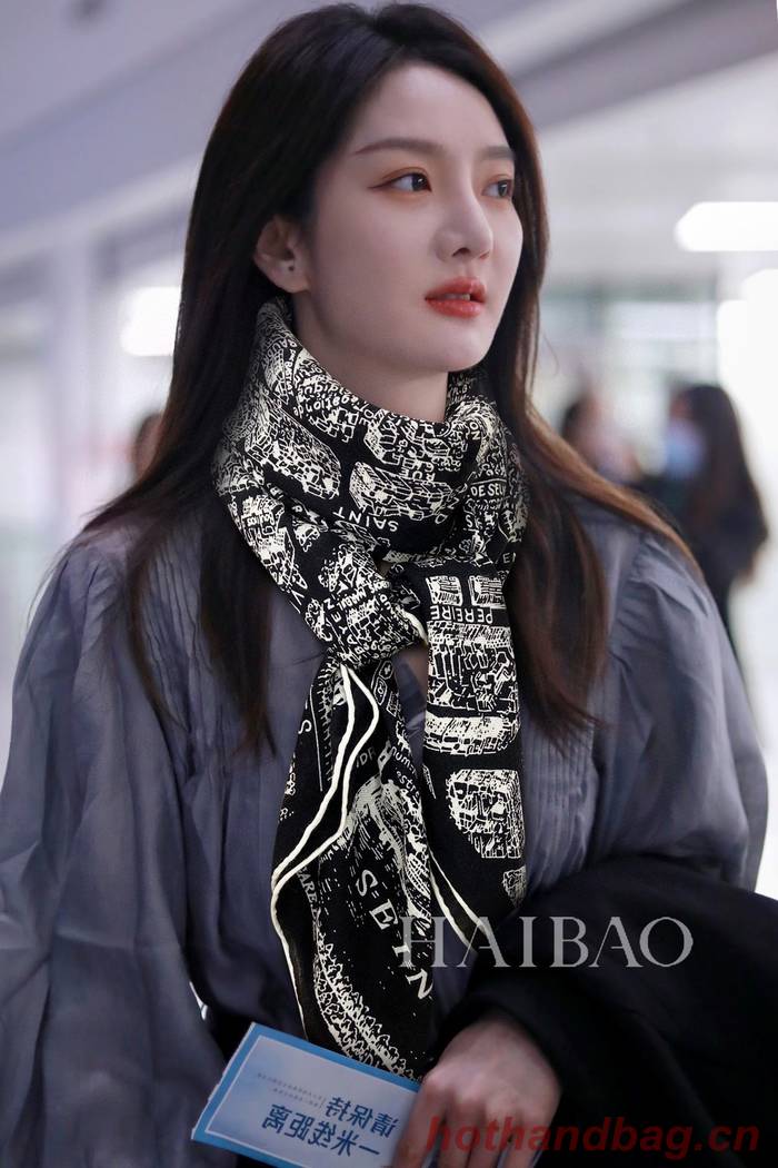 Dior Scarf DIC00195