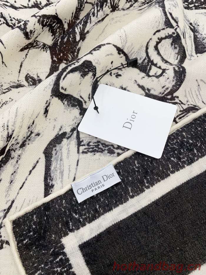 Dior Scarf DIC00197