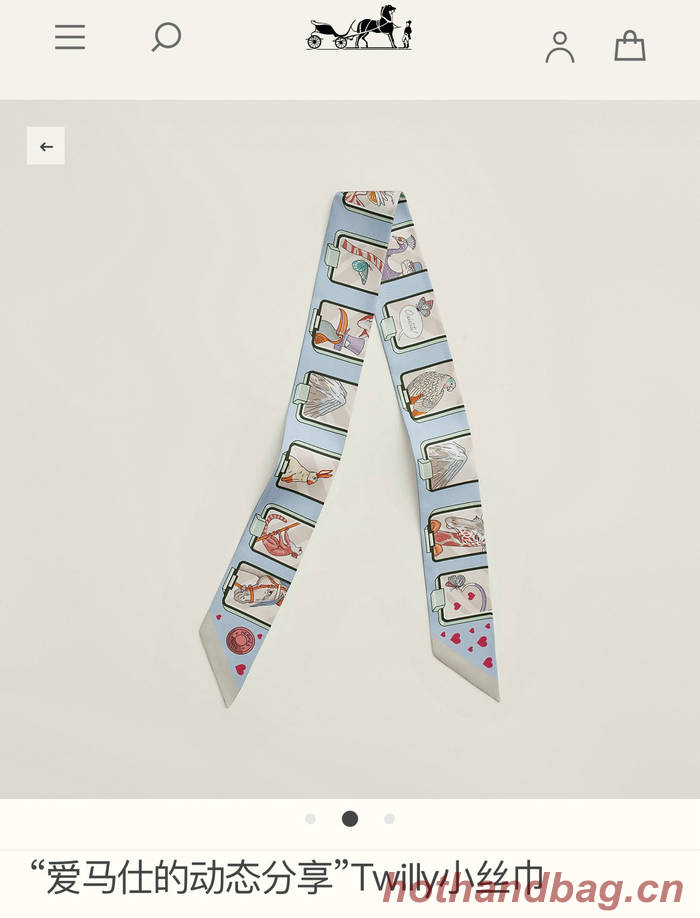 Hermes Scarf HEC00559