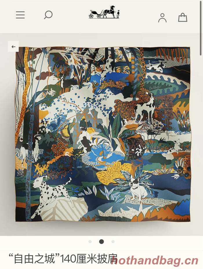 Hermes Scarf HEC00707