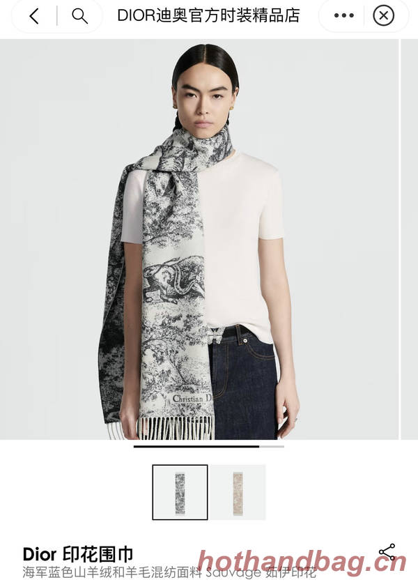 Dior Scarf DIC00222