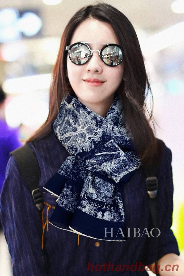 Dior Scarf DIC00232