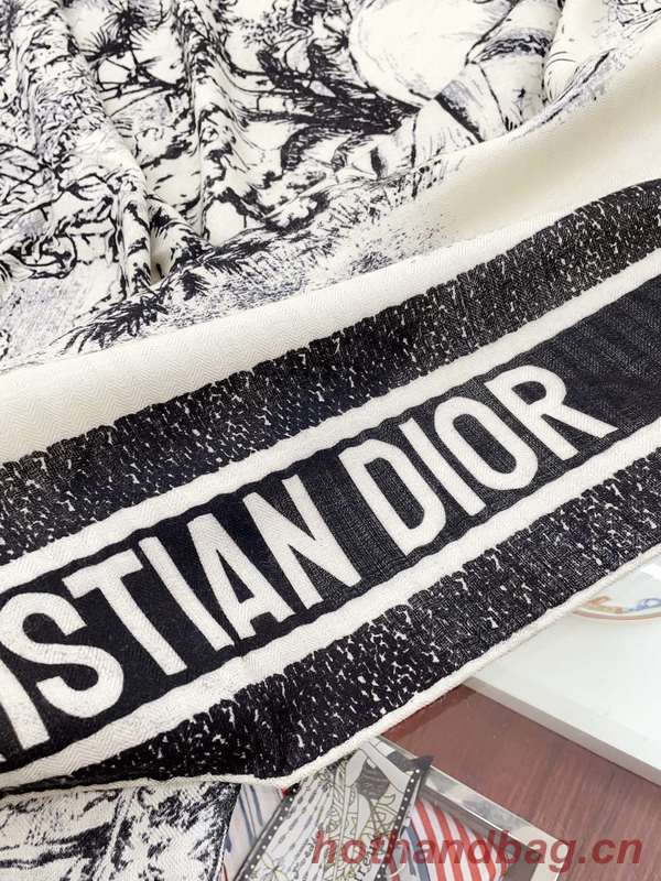 Dior Scarf DIC00291