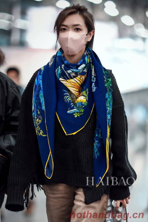 Dior Scarf DIC00307