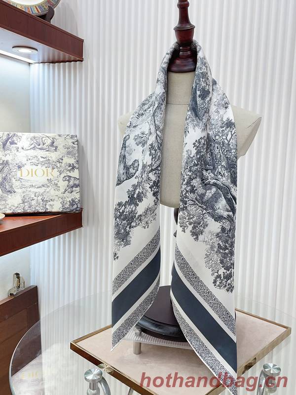 Dior Scarf DIC00331