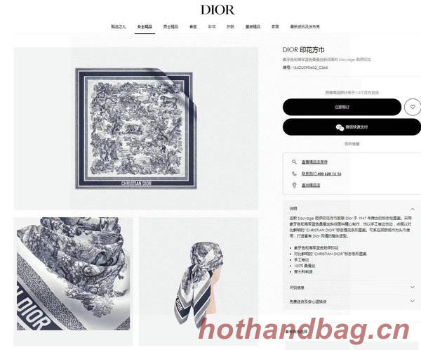 Dior Scarf DIC00332