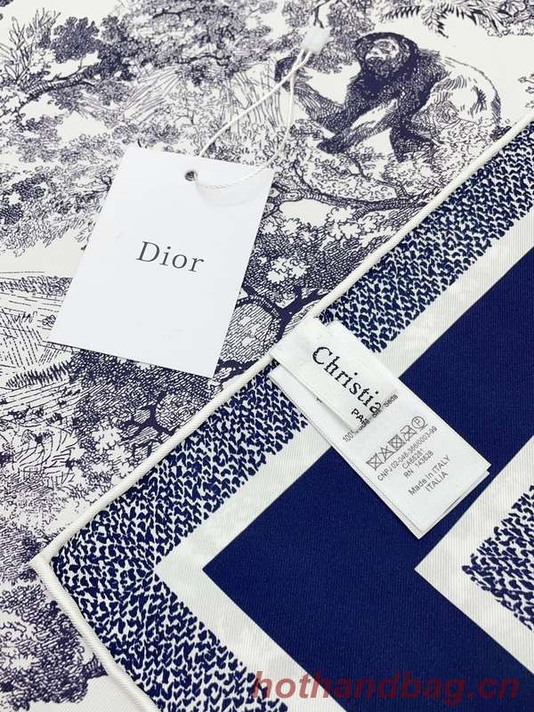 Dior Scarf DIC00332