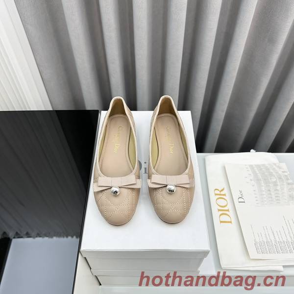 Dior Shoes DIS00255