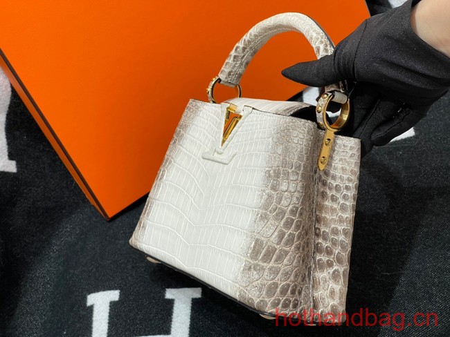 Louis Vuitton Capucines MM N93419 gray&white