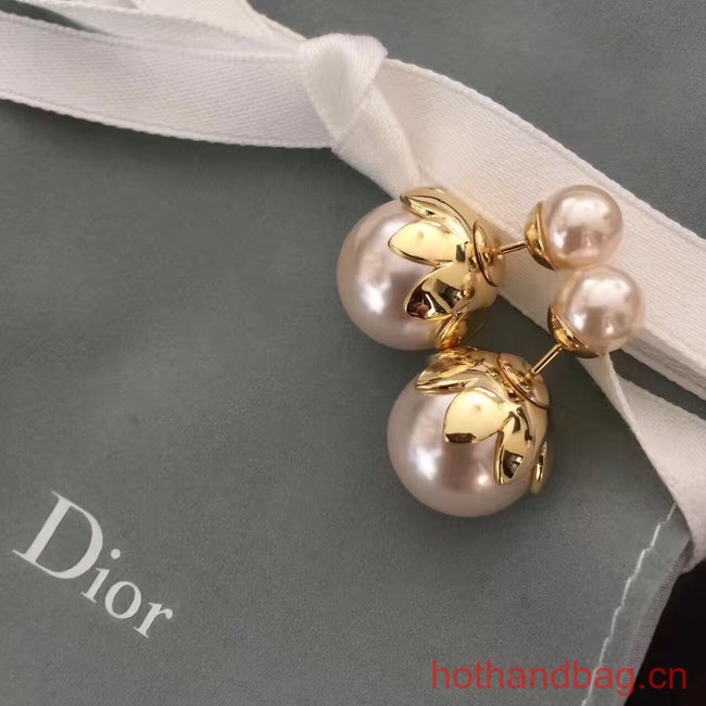 Dior Earrings CE13641