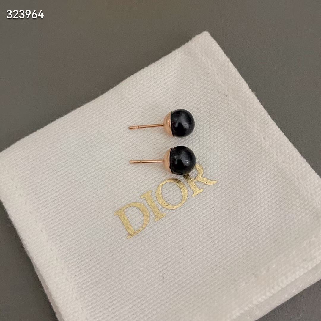 Dior Earrings CE13670