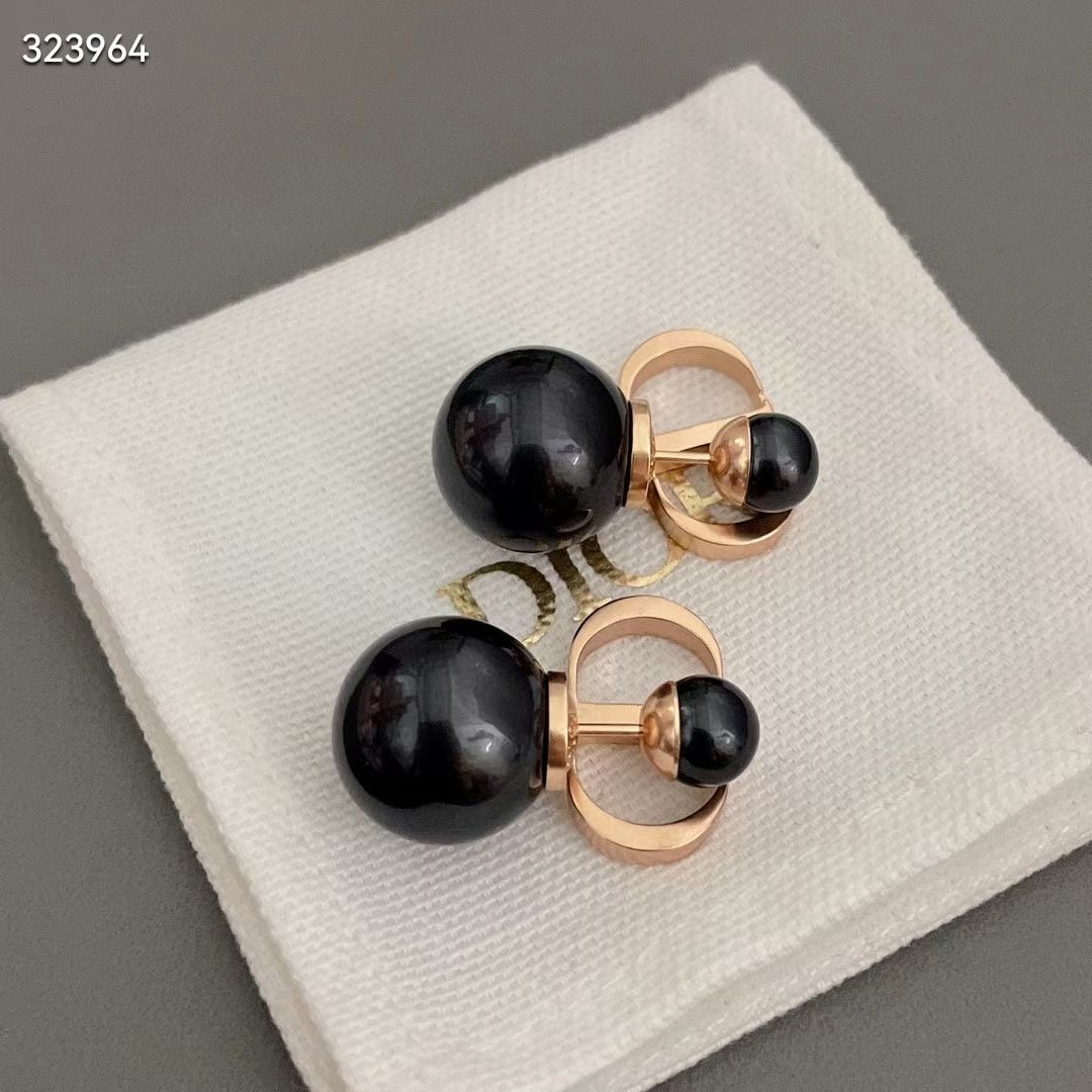 Dior Earrings CE13670