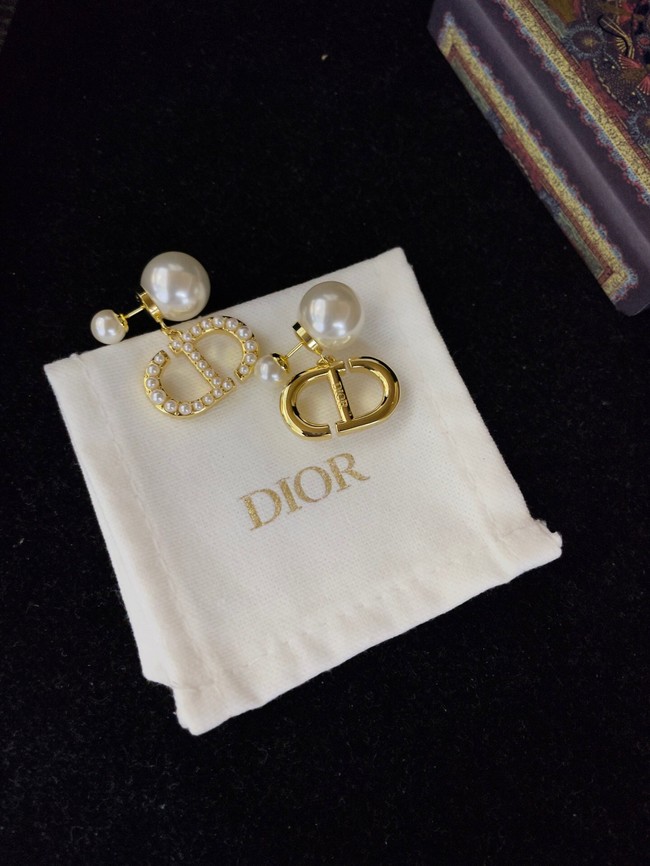 Dior Earrings CE13885