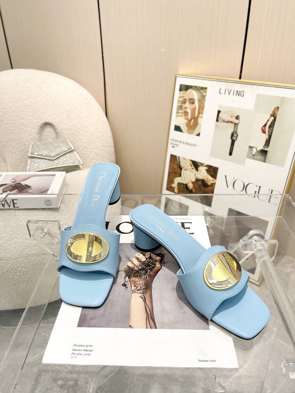 Dior Shoes DIS00496