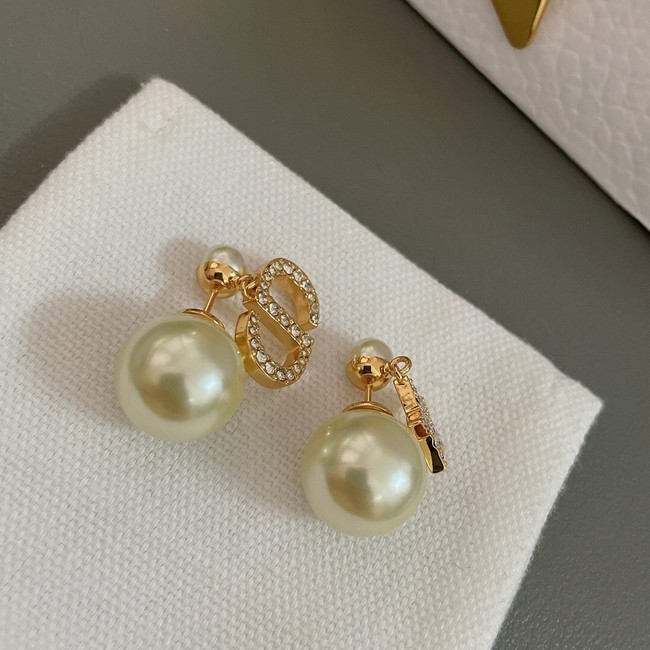 Dior Earrings CE13886