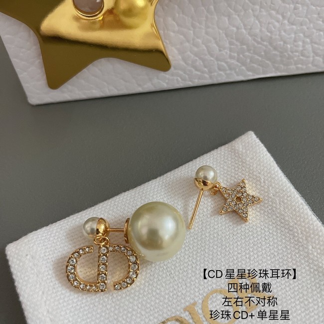 Dior Earrings CE13886