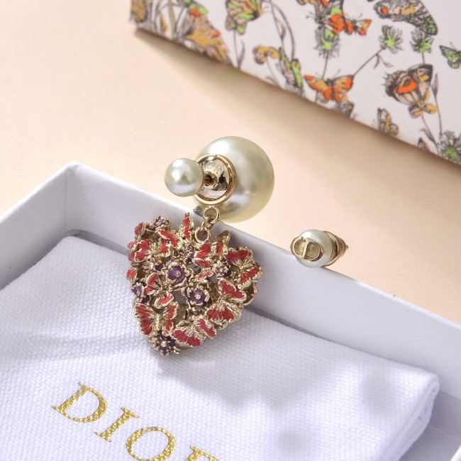 Dior Earrings CE13938