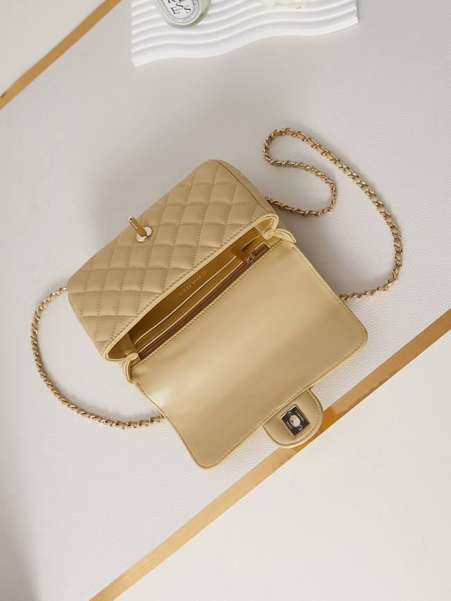 Chanel MINI FLAP BAG WITH TOP HANDLE AS4024 Beige