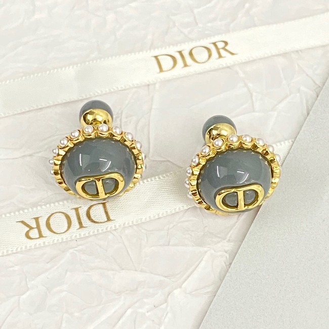 Dior Earrings CE14057