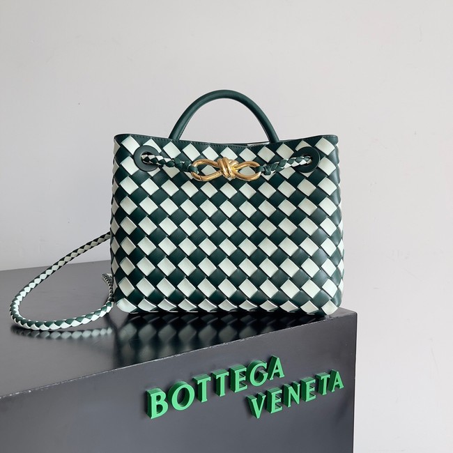 Bottega Veneta Small Andiamo 766014 white&green